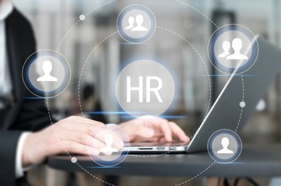 人力資源管理全攻略 從策略到實(shí)踐，打造高效能組織