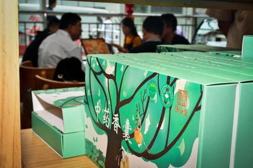 省中研院省中醫院中醫藥文化養生保健產品引發媒體關注，推動中醫養生保健服務發展