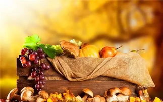 秋季養生家中必備食材10大排行榜，中醫養生保健服務指南